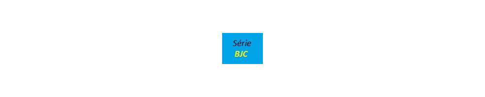 bJC food series